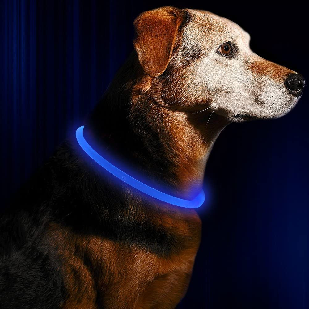 LED Collar, USB Rechargeable, Glowing Pet Collar for Night Safety, Fashion for Small Medium Large Dogs (Royal Blue)