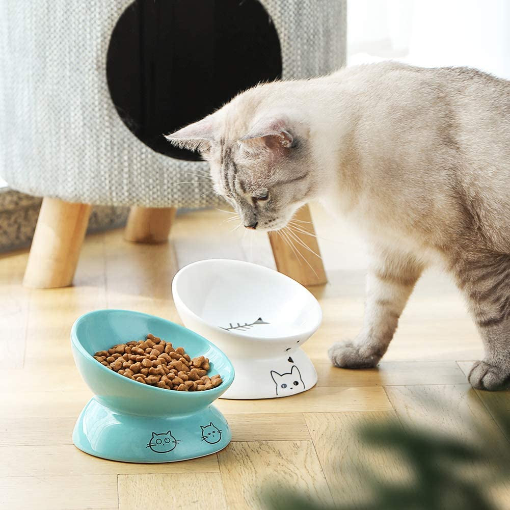 Raised Cat Bowl for Dry Wet Cat Food, Ceramic Elevated Pet Bowl Cat Dish, Protect Cat'S Spine, Stress Free, Slanted Design for Cat Easy Eating, Dishwasher Safe