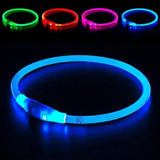 LED Collar, USB Rechargeable, Glowing Pet Collar for Night Safety, Fashion for Small Medium Large Dogs (Royal Blue)