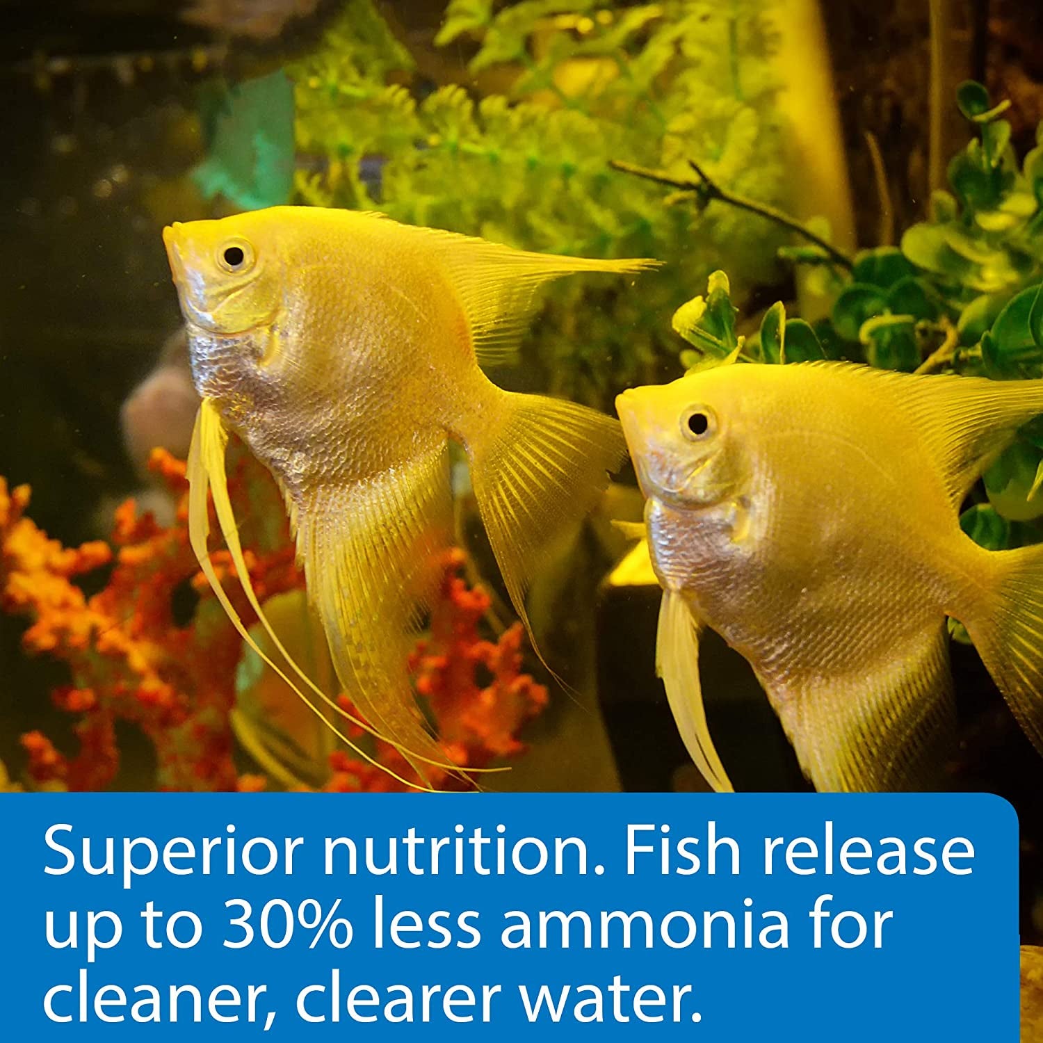 FISH FOOD FLAKES, Formulated to Help Fish More Readily Use Nutrients Which Means Less Waste and Clean, Clear Water, Feed up to Twice a Day as Much as They'Ll Eat in 5 Minutes