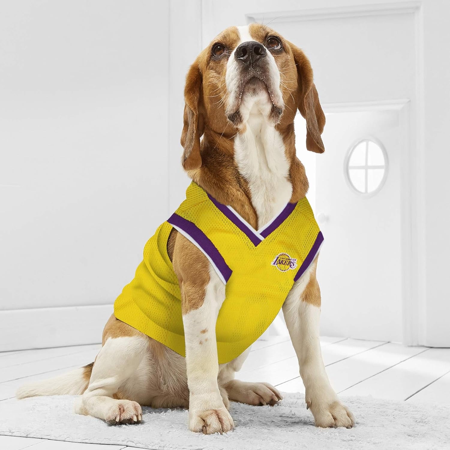 NBA LOS ANGELES LAKERS DOG Jersey, Large - Tank Top Basketball Pet Jersey