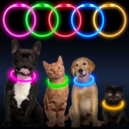 LED Dog Collar, USB Rechargeable Glowing Lighted up Collar, Cuttable Water-Resistant TPU Safety Collar Lights for Small Medium Large Dogs