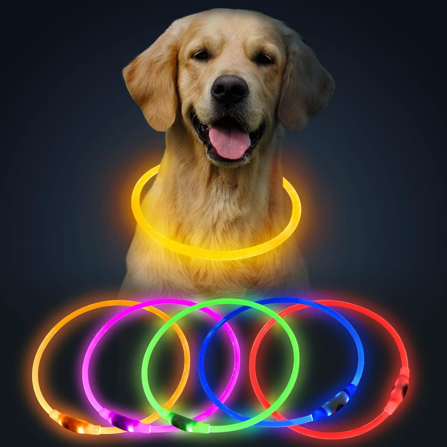 LED Dog Collar, USB Rechargeable Glowing Lighted up Collar, Cuttable Water-Resistant TPU Safety Collar Lights for Small Medium Large Dogs