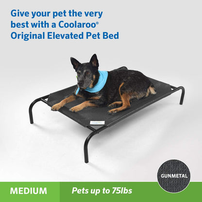 the Original Cooling Elevated Pet Bed, S to L Sizes